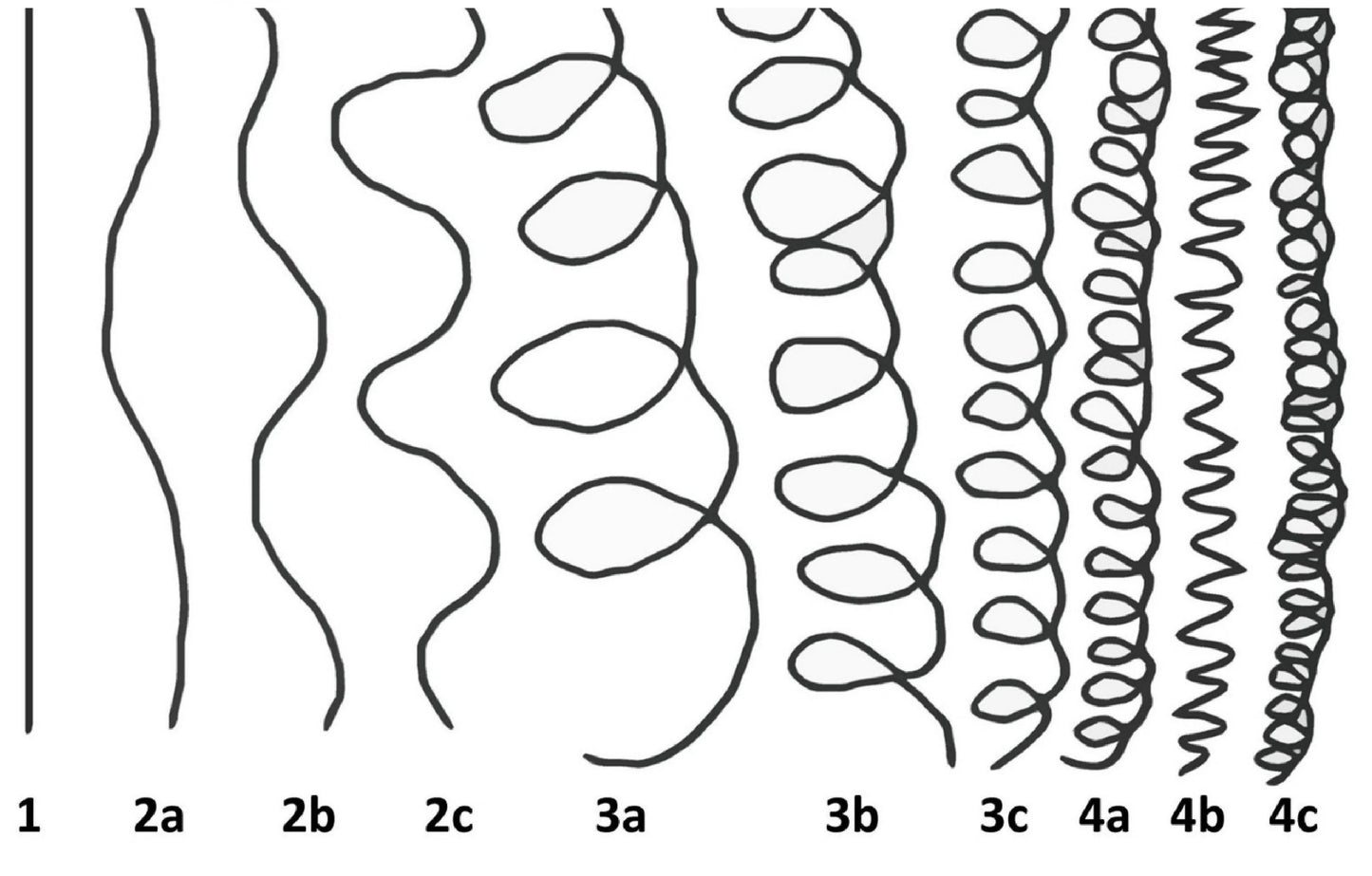 Hair Type... Does it matter?