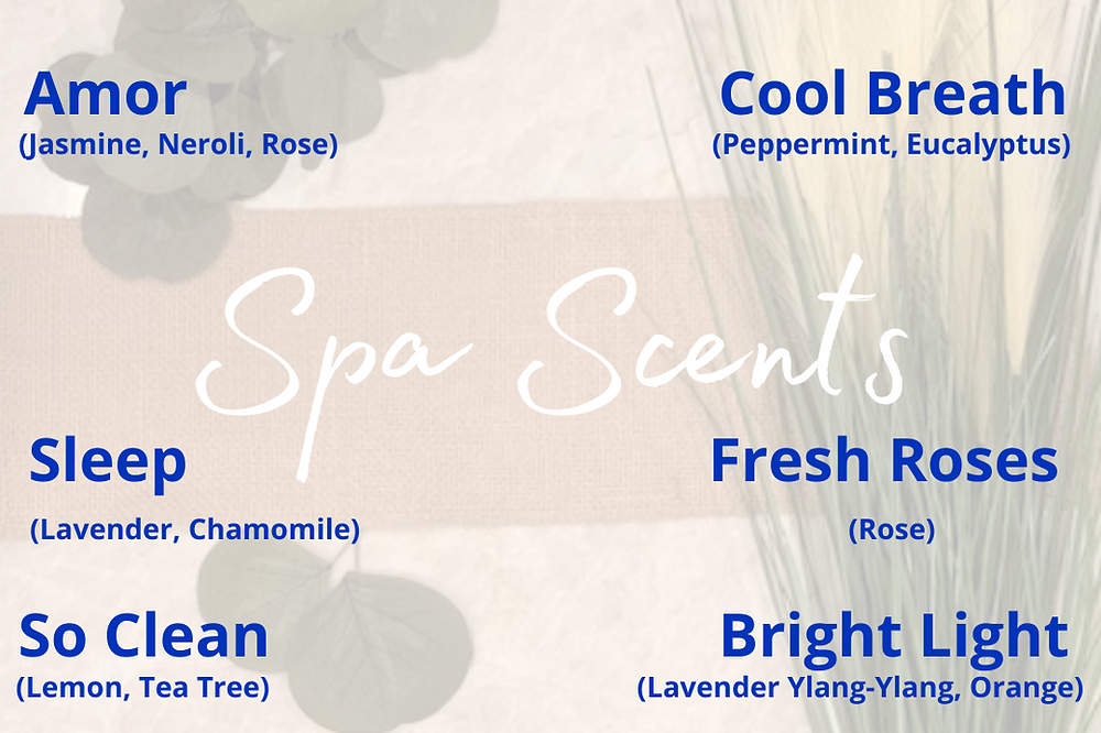 Mind & Body Sample Pack